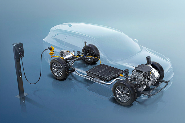 New Energy Vehicle Industry